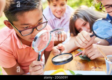 Kinder in ökologischen Ferienkurs neugierig Blick auf Blatt durch Vergrößerungsglas im Sommercamp Stockfoto