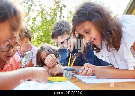 Neugierige Kinder schauen durch die Lupe auf das Blatt und lernen Über Pflanzen und Ökologie Stockfoto