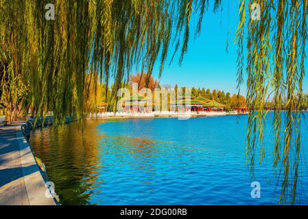 Schöne Aussicht auf Beihai See. Atemberaubende Herbstlandschaft im Beihai Park. Asien, China, Peking. Sonniger Tag, klarer blauer Himmel. Warmer Herbstabend. Stockfoto