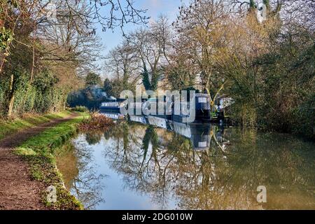 Kanalboote vertäuten am frühen Morgen im Herbst auf dem Ashby Canal, Hinckley, Leicestershire, East Midlands, Großbritannien Stockfoto