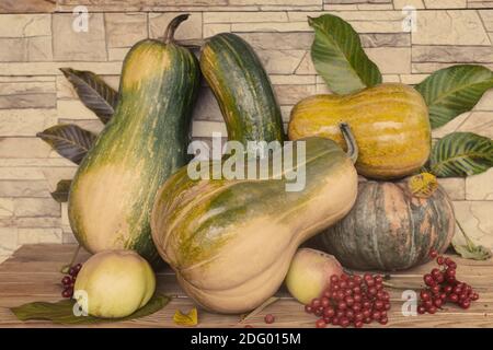 Auf dem Tisch unter den Herbstblättern sind reife Kürbisse verschiedener Sorten, Äpfel, Viburnum-Beeren. Vorderansicht, Nahaufnahme. Stockfoto