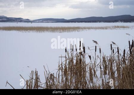 Schilf wächst auf einem gefrorenen See mit Schnee bedeckt, mit Fischern in der Ferne, in den Ausläufern des Kusnezk Alatau. Stockfoto