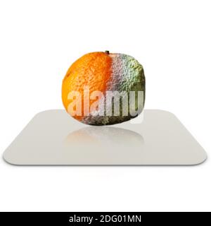 Mandarine halb verfault auf dem Geschirr auf einem weißen liegen Isolierter Hintergrund Stockfoto