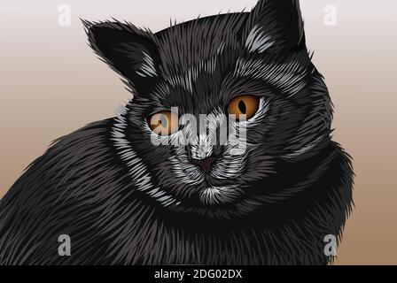 Schwarze Katze mit braunen Augen, die wegschauen. Realistische Handzeichnung. Vektor Stock Vektor