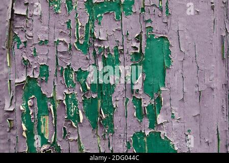 Ein Teil der Holzwand in grün und violett lackiert Stockfoto