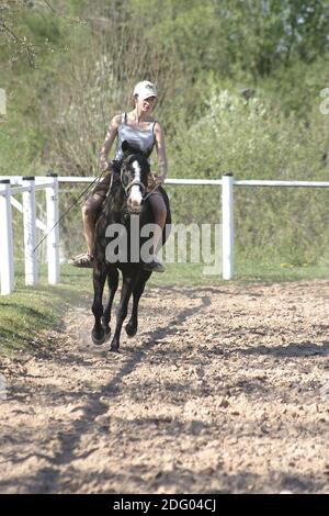 Deutsches Reitpony, Deutsches Reitpony, Reiten ohne Sattel Stockfoto