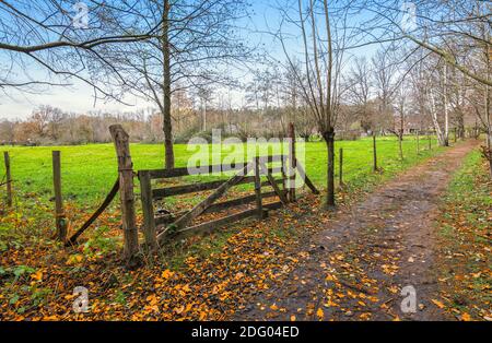 Herbstlandschaft mit Wanderweg entlang einer grünen Wiese mit hölzernen ländlichen Tor in Belgien. Stockfoto