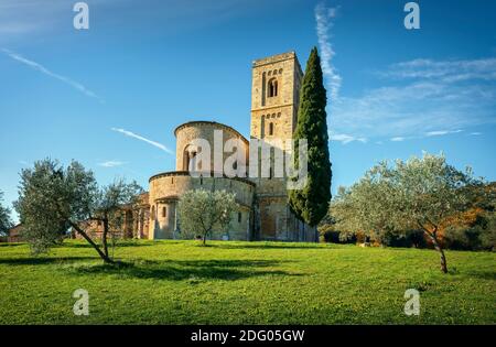 Sant Antimo Abtei am Morgen, Oliven-und Zypressen. Montalcino. Toskana, Italien Stockfoto