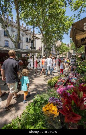 Marktstände auf Las Ramblas in der Stadt Barcelona in Katalonien in Spanien. Stockfoto