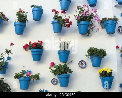 Blumentöpfe an einer weißen Wand in einer andalusischen Altstadt Stockfoto