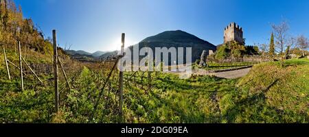 Die mittelalterliche Burg von Segonzano und die Weinberge des Cembra-Tals. Cembra Tal, Provinz Trient, Trentino-Südtirol, Italien, Europa. Stockfoto