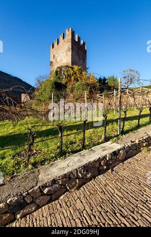 Die mittelalterliche Burg von Segonzano und die Weinberge des Cembra-Tals. Cembra Tal, Provinz Trient, Trentino-Südtirol, Italien, Europa. Stockfoto