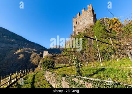 Die mittelalterliche Burg von Segonzano und die Weinberge des Cembra-Tals. Cembra Tal, Provinz Trient, Trentino-Südtirol, Italien, Europa. Stockfoto