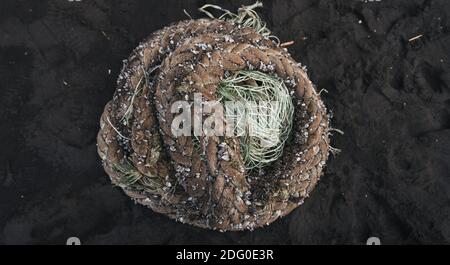 Dickes Bootsseil, das auf dunklem Strandsand aufgerollt und verlassen wurde Mit Muscheln zusammenstecken Stockfoto