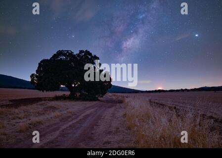 Milchstraße über einem trockenen Feld mit einem großen Baum Und ein Weg durch das Zentrum mit einem sternenklaren Blau Himmel Stockfoto