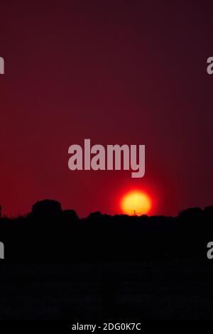 Erstaunlicher apokalyptischer Sonnenuntergang vor einem rot-violetten Himmel Stockfoto