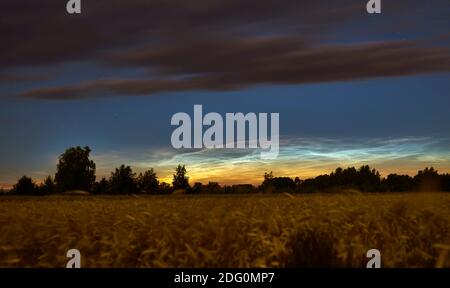 In der Nacht sind silbrige Wolken über den Getreidefeldern Stockfoto