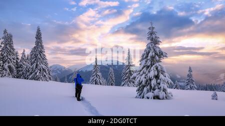 Hohe Berge mit schneeweißen Gipfeln. Winterwald. Unglaublicher Sonnenaufgang. Ein Panoramablick auf die mit Frostbäumen bedeckten Schneeverwehungen. Aufenthalt für Touristen Stockfoto