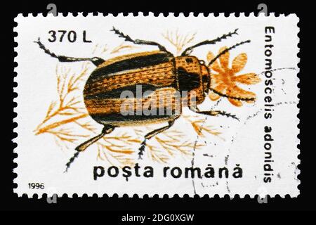 MOSKAU, RUSSLAND - 18. AUGUST 2018: Eine in Rumänien gedruckte Briefmarke zeigt Leaf Beetle (Entomoscelis adonidis), Beetles Serie, um 1996 Stockfoto