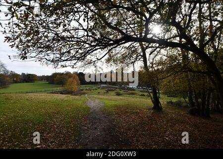 Im Bild: Wanderer, die den späten Herbstsonnen im Sutton Park, Sutton Coldfield, Birmingham, Donnerstag, 12. November 2020 genießen. Viele Menschen nutzen die Gelegenheit zu öffentlichen Bereichen während des Monats lange Sperre für ein zweites Mal. Stockfoto