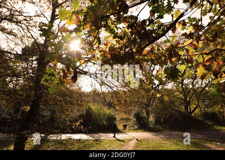 Im Bild: Wanderer, die den späten Herbstsonnen im Sutton Park, Sutton Coldfield, Birmingham, Donnerstag, 12. November 2020 genießen. Viele Menschen nutzen die Gelegenheit zu öffentlichen Bereichen während des Monats lange Sperre für ein zweites Mal. Stockfoto