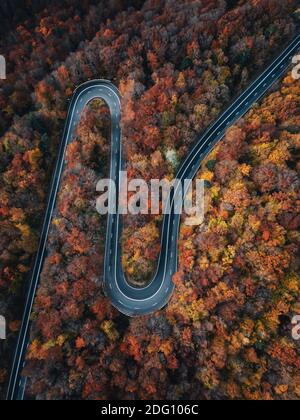 Luftaufnahme der Straße im schönen Herbstwald bei Sonnenuntergang. Schöne Landschaft mit leerer Landstraße, Bäumen mit roten und orangen Blättern. Rumänien, Transy Stockfoto
