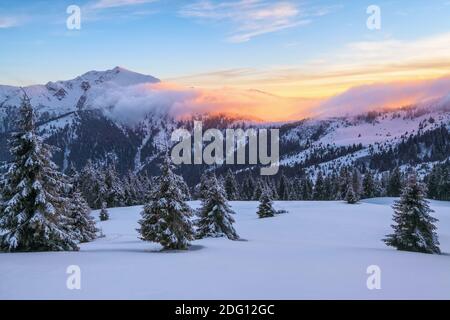 Toller Sonnenaufgang. Winterwald. Ein Panoramablick auf die mit Frostbäumen bedeckten Schneeverwehungen. Hohe Berge mit schneeweißen Gipfeln. Naturland Stockfoto