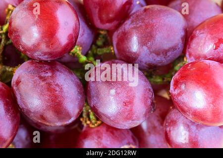 Geschmackvolle rote Trauben von oben Stockfoto