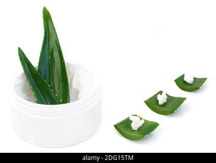 Aloe Vera Blätter und Creme Stockfoto