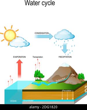 Wasserkreislauf in der Natur Umwelt. Die Sonne, die den Wasserkreislauf antreibt, erwärmt Wasser in Ozeanen und Meeren. Wasser verdampft als Wasserdampf in die Luft Stock Vektor