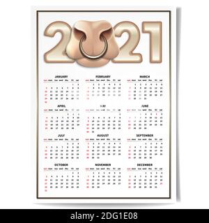 Kalender für 2021 Zahlen. Nach dem chinesischen Kalender, das Jahr des Ochsen. Die Schnauze eines Bullen mit Nasenring. Vertikales Banner auf einer weißen BA Stock Vektor