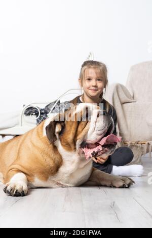 Kleines Mädchen streicheln den Hund. Englische Bulldog als treuer Freund des Menschen. Eine Rasse mit einem braunen Mantel mit weißen Flecken. Stockfoto