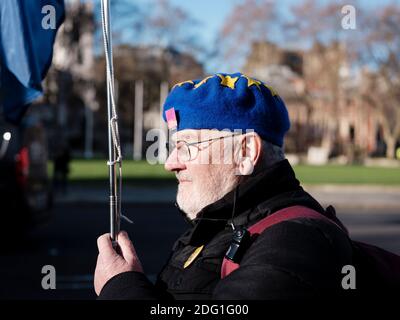 Anti-Brexit-Kämpfer vor dem Tor des Parlaments (Palace of Westminster), London, Großbritannien. Januar 28, 2019. Stockfoto