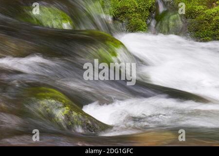 Stromschnellen eines Bergstroms Stockfoto