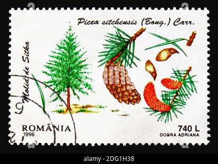 MOSKAU, RUSSLAND - 18. AUGUST 2018: Eine in Rumänien gedruckte Briefmarke zeigt Sitka Spruce (Picea sitchensis), Nadelserie, um 1996 Stockfoto