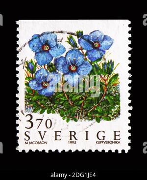 MOSKAU, RUSSLAND - 18. AUGUST 2018: Eine in Schweden gedruckte Marke zeigt Rock Speedwell (Veronica fruticans), Mountain Flowers Serie, um 1995 Stockfoto