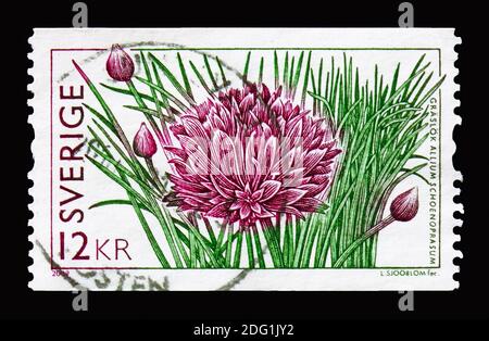 MOSKAU, RUSSLAND - 18. AUGUST 2018: Eine in Schweden gedruckte Briefmarke zeigt Allium schoenoprasum, Flora Serie, um 2009 Stockfoto