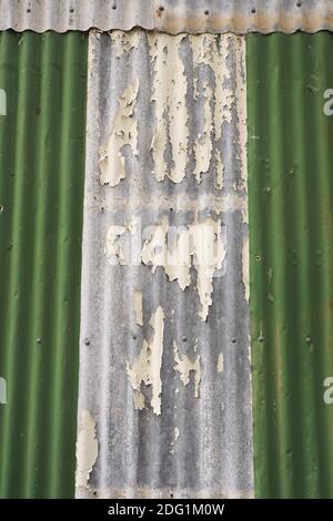 Abblätternde Farbe auf einem Wellblech im Nyerimilang Heritage Park, East Gippsland, Victoria, Australien. Stockfoto
