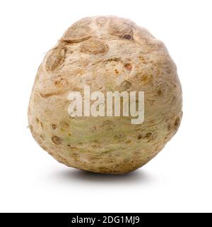 Sellerie Wurzel isoliert auf weißem Hintergrund. Stockfoto