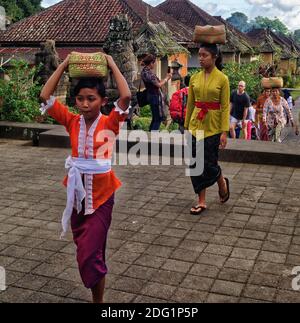 Indonesische Frauen in traditioneller Kleidung tragen Körbe auf dem Kopf im traditionellen Modelldorf Penglipuran auf Bali, wo viele Touristen zu sehen sind Stockfoto