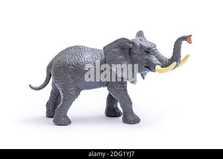 Plastikmodell des Elefanten. Elefant Spielzeug isoliert auf weiß. Stockfoto