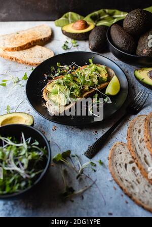 Avocado Toast auf einem Teller mit Zutaten um ihn herum auf Stein Zähler. Stockfoto