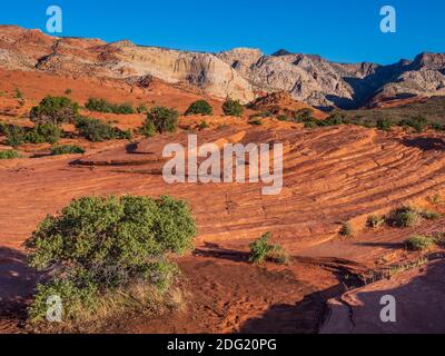 Sandstein mit Kreuzbett, Petrified Dunes, Snow Canyon State Park, Saint George, Utah. Stockfoto