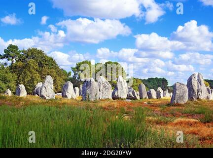 Anordnungen von Megalithen bei Carnac in der Bretagne, Frankreich. Stockfoto