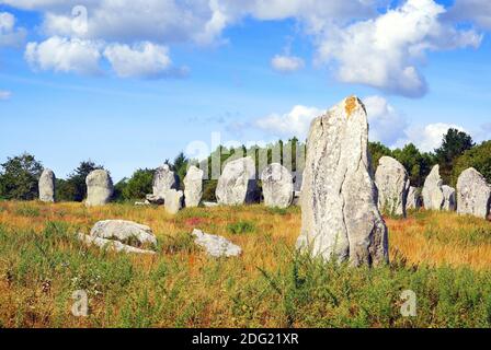 Anordnungen von Megalithen bei Carnac in der Bretagne, Frankreich. Stockfoto