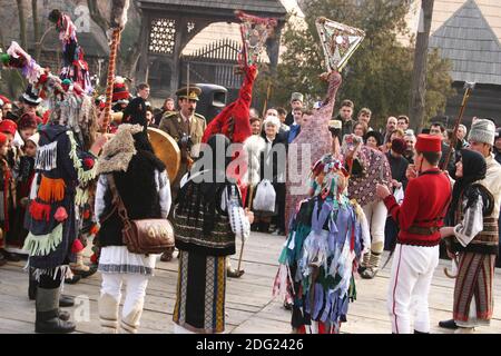 Kostümierte Künstler Caroling in Rumänien, Menschen eine gute Ernte und Segen im neuen Jahr zu wünschen. Stockfoto