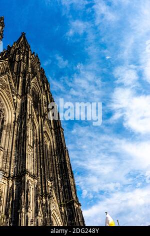 Eine vertikale Aufnahme des Kölner Doms unter Sonnenlicht und blauem Himmel in Köln Stockfoto