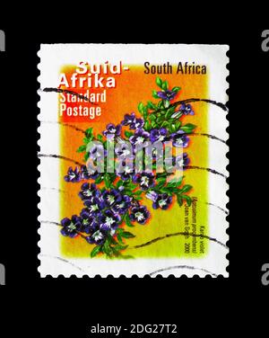 MOSKAU, RUSSLAND - 18. AUGUST 2018: Eine in Südafrika gedruckte Briefmarke zeigt Aptosimum procumbens, Fauna und Flora Serie, um 2000 Stockfoto