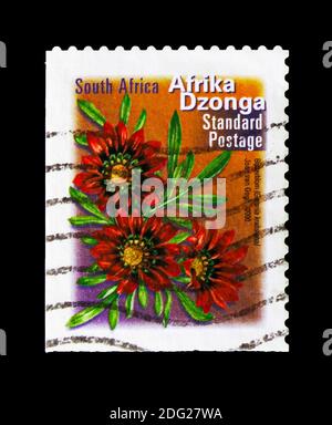 MOSKAU, RUSSLAND - 18. AUGUST 2018: Eine in Südafrika gedruckte Briefmarke zeigt Gazania krebsiana, Fauna und Flora Serie, um 2000 Stockfoto