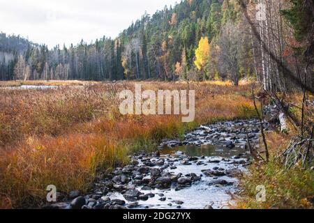 Herbstansicht des Oulanka National Park, Landschaft, ein finnischer Nationalpark in der nördlichen Ostrobothnien und Lappland Regionen von Finnland, hölzerne Wildnis Stockfoto